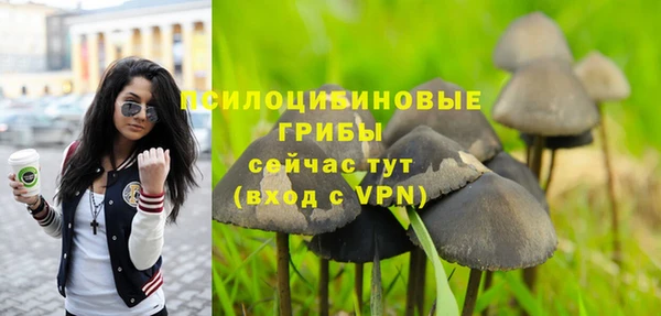 скорость Арсеньев