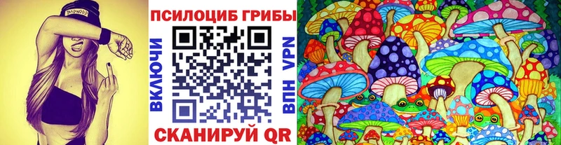 даркнет сайт  MEGA маркетплейс  Галлюциногенные грибы Psilocybine cubensis  Нарьян-Мар 