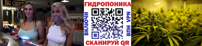 Канабис гибрид  где продают   blacksprut ссылки  Нарьян-Мар 